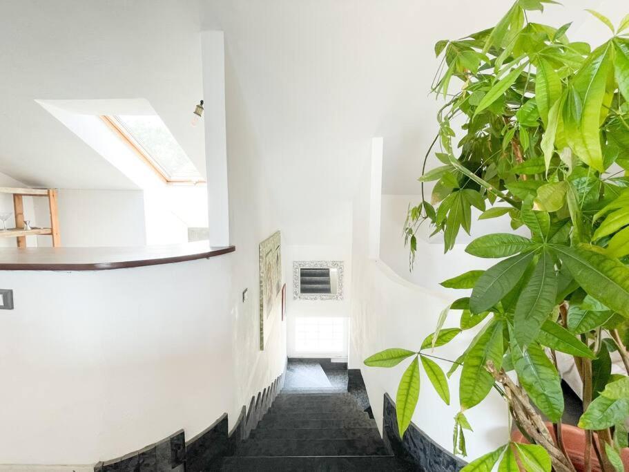 Elegante Appartamento 100 Mq Parcheggio - Wi Fi Savona Ngoại thất bức ảnh
